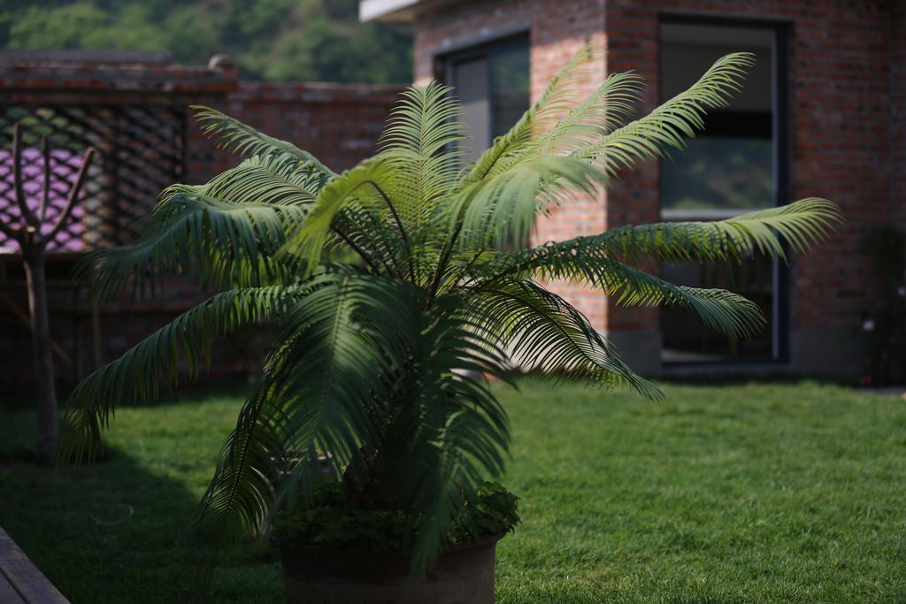 Xiaoman Guesthouse Huairou Exterior photo